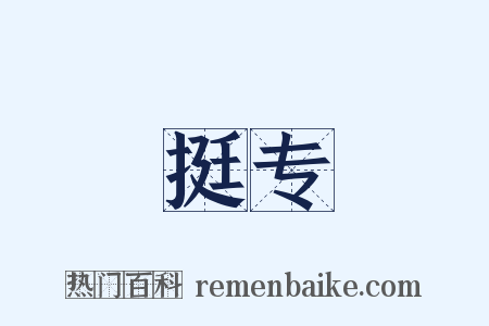 挺专是什么意思的图片